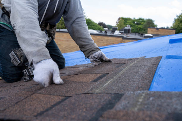 Sealant for Roof in Mahnomen, MN
