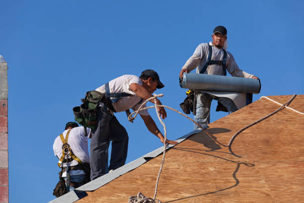 Best Roof Gutter Cleaning  in Mahnomen, MN